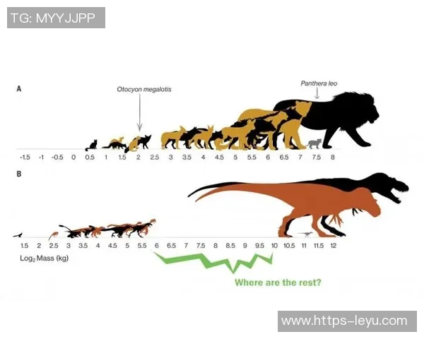 奥拉朱旺足球的崛起与发展探讨及其对中国足球的影响分析