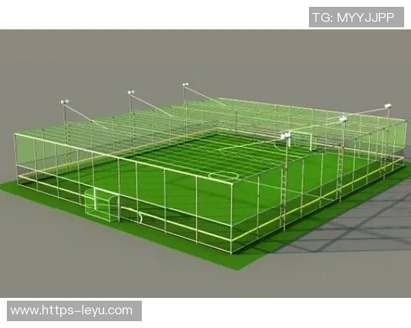 探索Nike铁笼足球的魅力与技术革新，提升你的足球技能与比赛体验